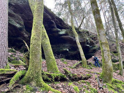 24-02-28 13-48-04 8782